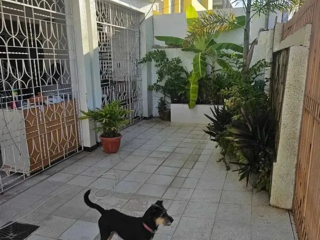 Imagem 6: Casa em Rua Pública - Suíssa [26152