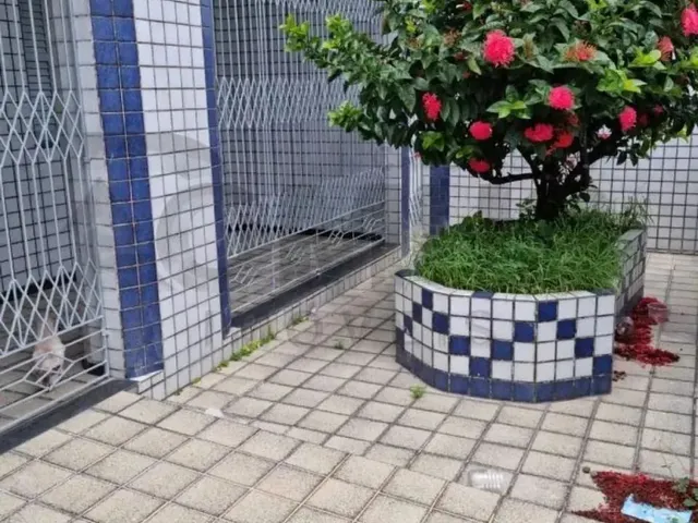 Imagem: Casa de 224M² no Bairro Cirurgia com 3