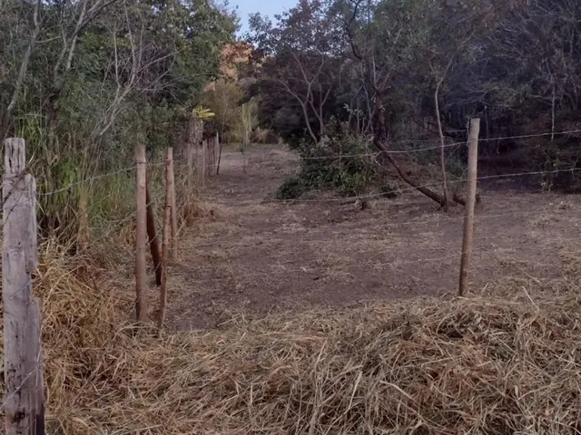 Imagem: Lote na Serra do Siqueira em Ouro Preto