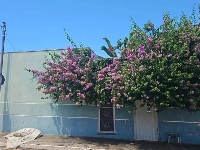 Imagem: Casa para Venda, Centro-Sul, Varzea Grande