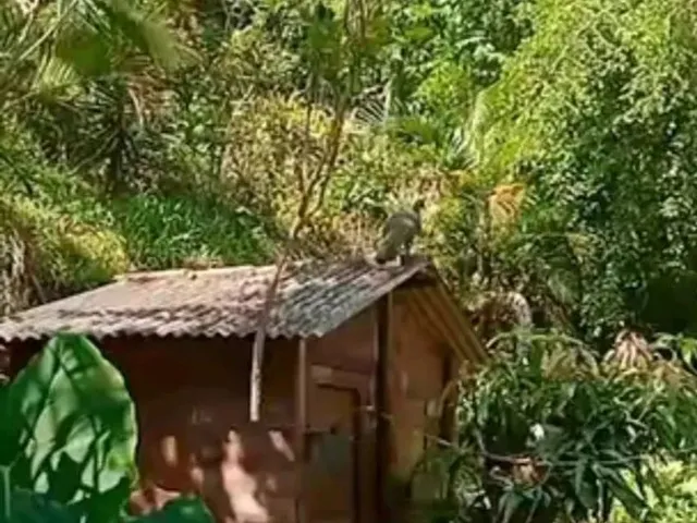 Imagem: Sítio