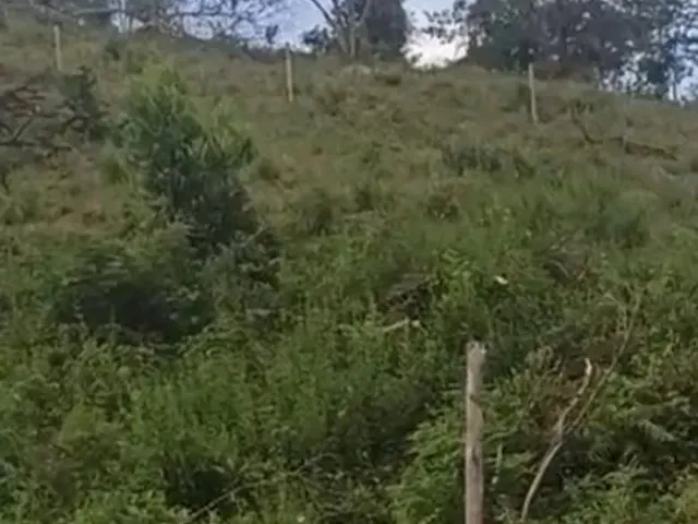Imagem 4: Sítio Chácara com venda por R$300.000