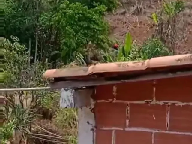 Imagem 5: Sítio Chácara com venda por R$300.000