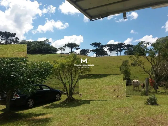 Imagem 15: Chácara com Casa em Vila Seca