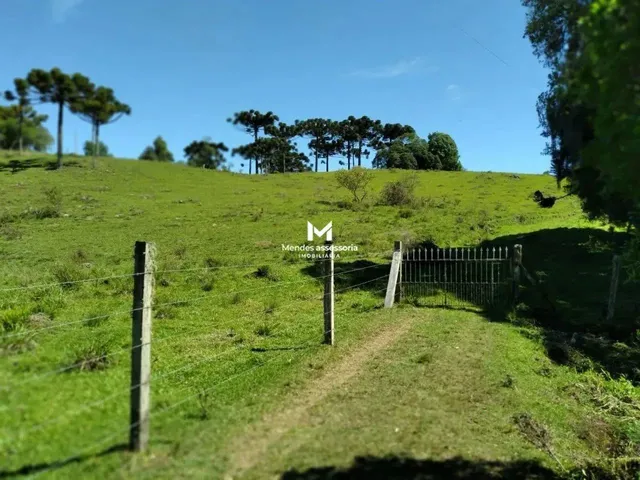 Imagem 4: Chácara com Casa em Vila Seca