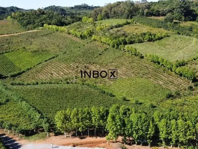 Imagem: Inbox Cia Imobiliária Vende - Terreno no