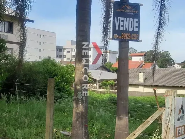 Imagem: Lote em Rua Coelho Neto - Petrópolis