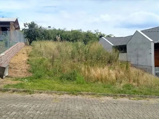 Imagem: Caxias do Sul - Terreno Padrão - Monte
