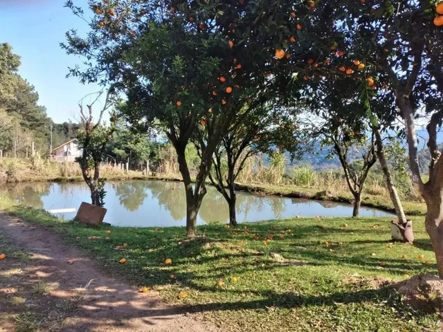 Imagem 3: Sítio em Estrada Velha da Serra - Recosta - São Francisco de Paula/Rs