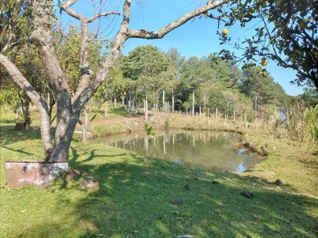 Imagem 13: Sítio em Estrada Velha da Serra - Recosta - São Francisco de Paula/Rs