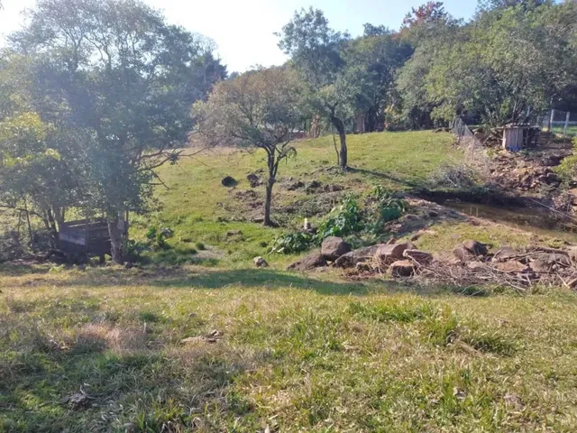Imagem 8: Sítio em Estrada Velha da Serra - Recosta - São Francisco de Paula/Rs