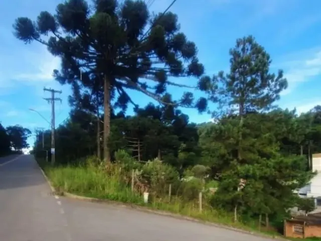 Imagem: Caxias do Sul - Terreno Padrão - São Luiz