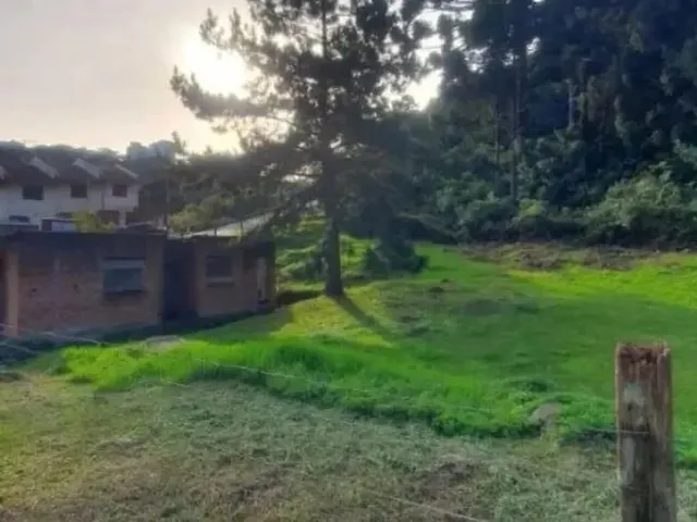 Imagem: Caxias do Sul - Terreno Padrão - São Luiz