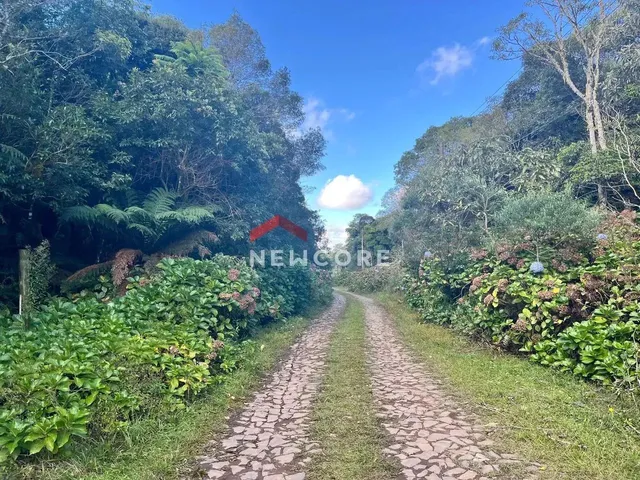 Imagem: Lote em Rua 21 - Alpes - São Francisco