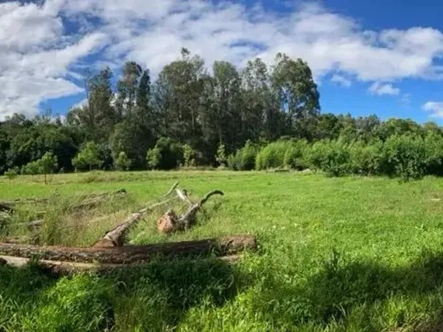 Imagem: Caxias do Sul - Terreno Padrão - Linha