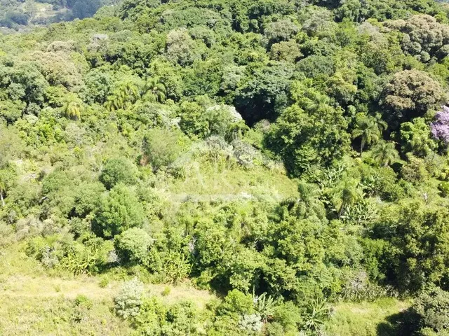 Imagem: Amplo Terreno À Venda na Cidade de Picada