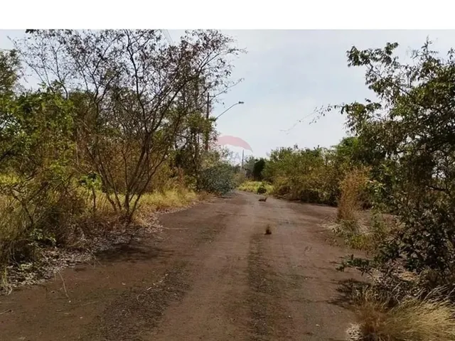 Imagem 2: Duas Chacaras Juntas na Avenida Principal do Sao Basilio