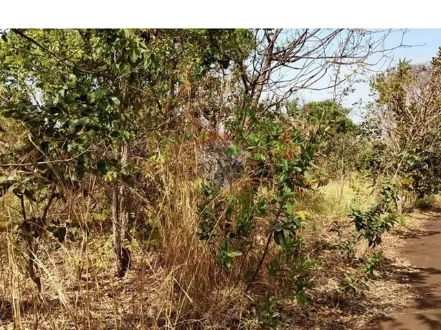 Imagem 3: Duas Chacaras Juntas na Avenida Principal do Sao Basilio