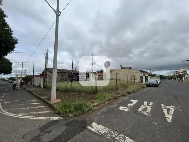 Imagem: Terreno para Locação no Bairro santa Monica