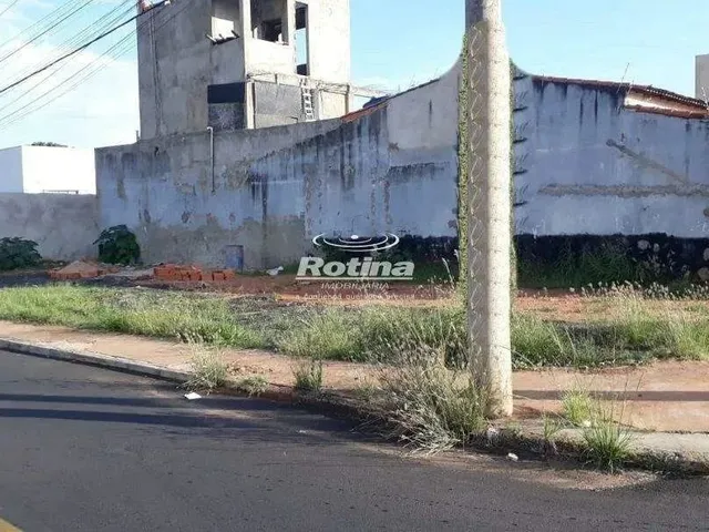 Imagem: Terreno para Alugar, Luizote de Freitas