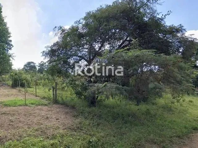 Imagem: Terreno À Venda, Morada Nova - Uberlândia/Mg