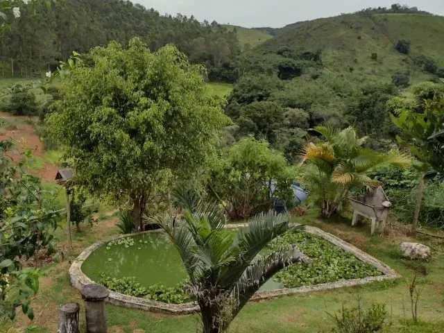 Imagem 10: Granja em Torreões - Disponível para o Carnaval