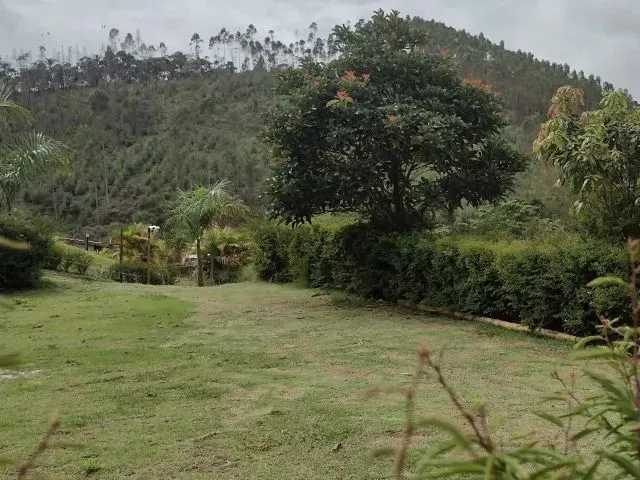 Imagem 15: Granja em Torreões - Disponível para o Carnaval