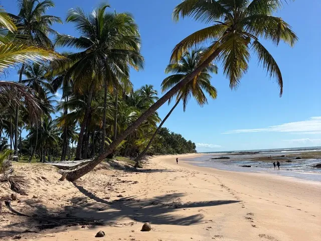 Imagem: Vivant Eco Beach Taipu de Fora