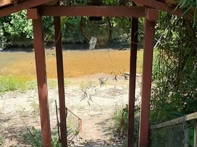 Imagem 12: Chácara Aluguel - 9 Quartos