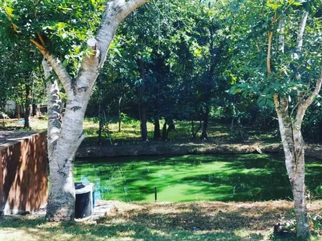 Imagem 11: Chácara Aluguel - 9 Quartos