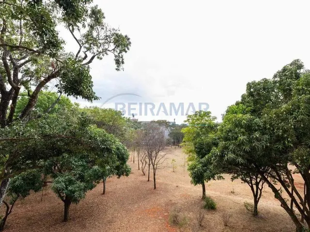 Imagem 14: Apartamento Reformado com 3 Quartos, Suíte e Vaga de Garagem Coberta À Venda na Sqs 203