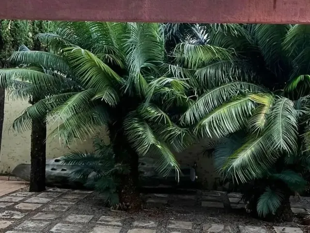 Imagem 13: Casa em Condomínio Rua 12 - 3 Quartos e Área de Lazer!