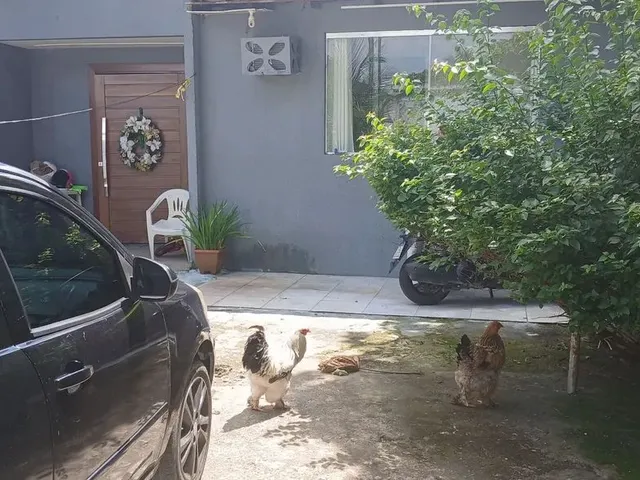 Imagem: Vendo Casa no Coroado