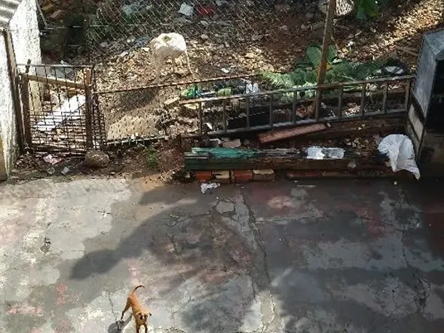 Imagem 4: /Imóvel Comercial Ou Residencial na Compensa