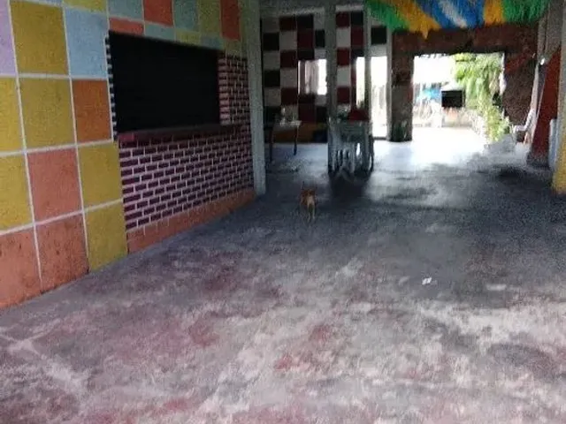 Imagem 14: /Imóvel Comercial Ou Residencial na Compensa