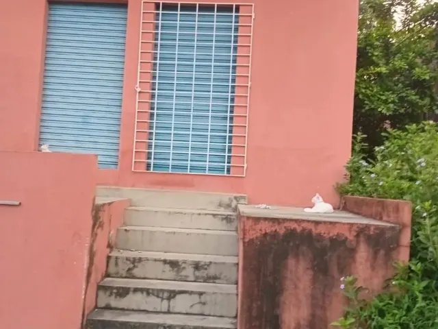 Imagem: Casa com 3 Quartos Entre a Vivenda Verde