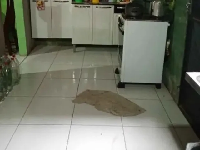 Imagem 4: Casa Casa com 2 dormitórios