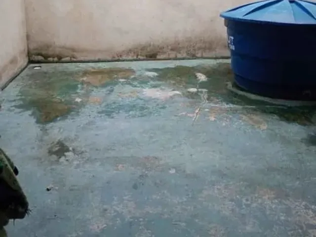 Imagem 5: Casa Casa com 2 dormitórios