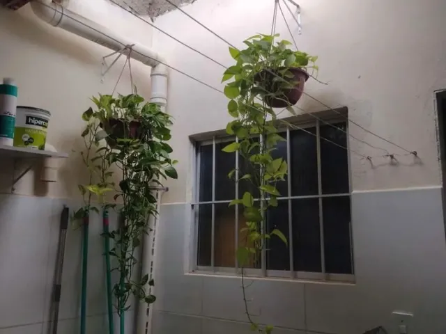 Imagem 11: Vendo Casa no Telégrafo Ac