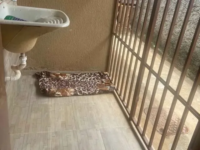 Imagem 7: Nd Vendo Linda Casa no Icui