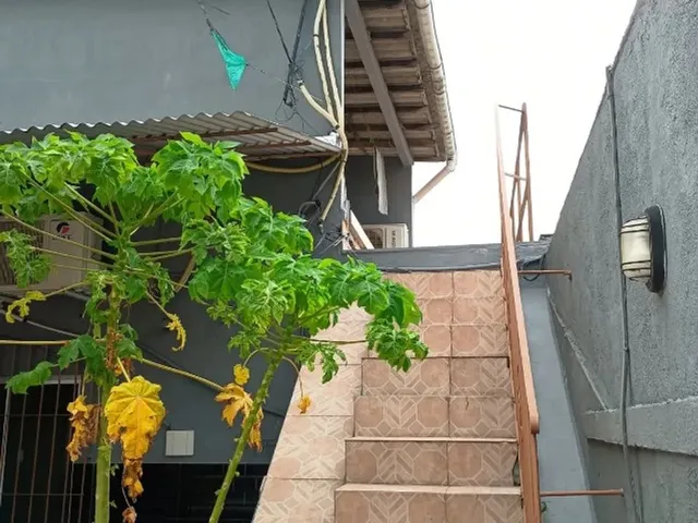 Imagem 13: Vendo Casa de Recepção (Térrea) na 14 de Março- Umarizal
