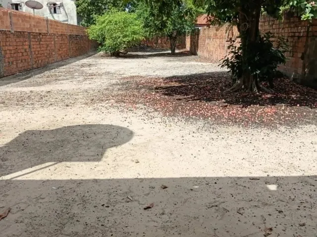 Imagem 8: Vendo Casa no Milagre com 4 Quartos