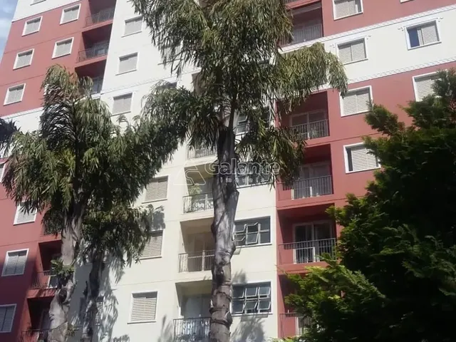 Imagem: Apartamento - Vila Nova - Campinas