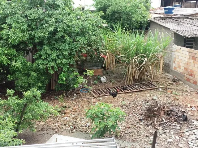 Imagem: Casa no Centro de Contagem
