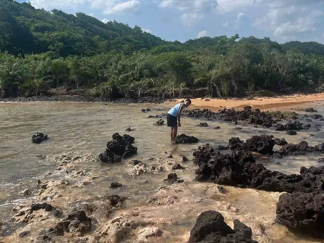 Imagem: Procuro na Região de Praia Grande Fundão