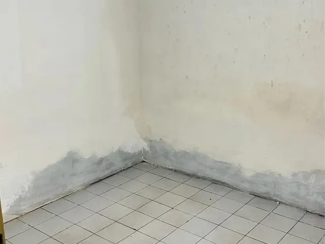 Imagem 8: Casa no Centro de Marechal Deodoro