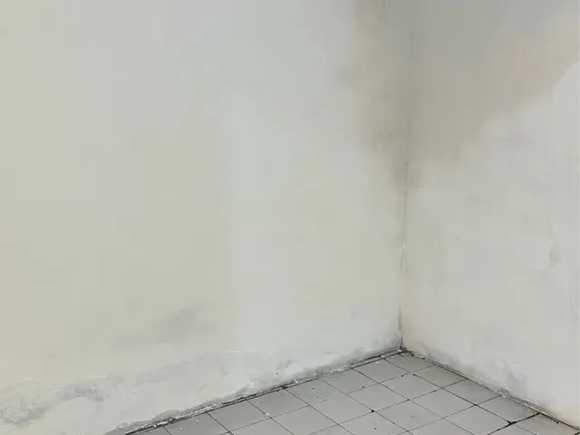 Imagem 10: Casa no Centro de Marechal Deodoro