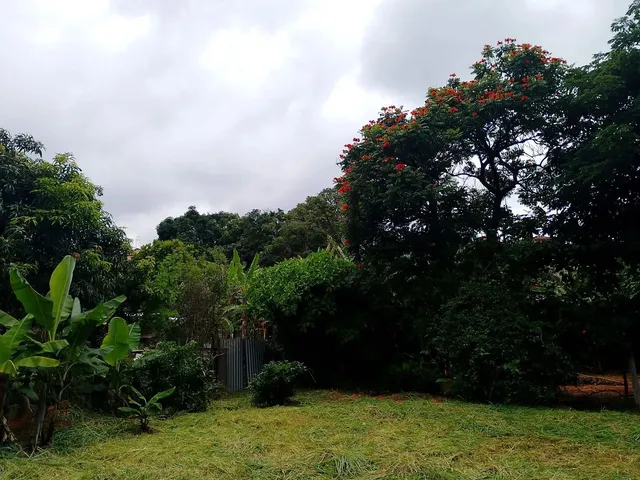 Imagem 6: Vendo Casa 3 Quartos em Terreno de 1081 M2
