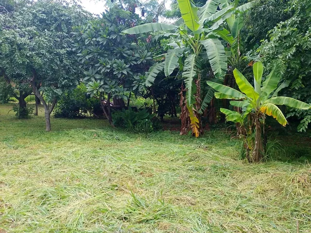 Imagem 8: Vendo Casa 3 Quartos em Terreno de 1081 M2