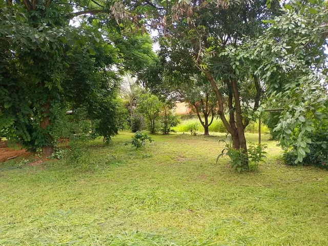 Imagem 12: Vendo Casa 3 Quartos em Terreno de 1081 M2